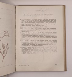 Naše rostliny v lékařství (3)4